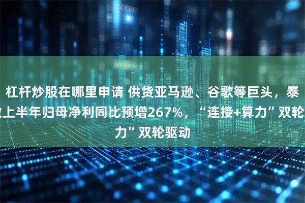 杠杆炒股在哪里申请 供货亚马逊、谷歌等巨头，泰凌微上半年归母净利同比预增267%，“连接+算力”双轮驱动