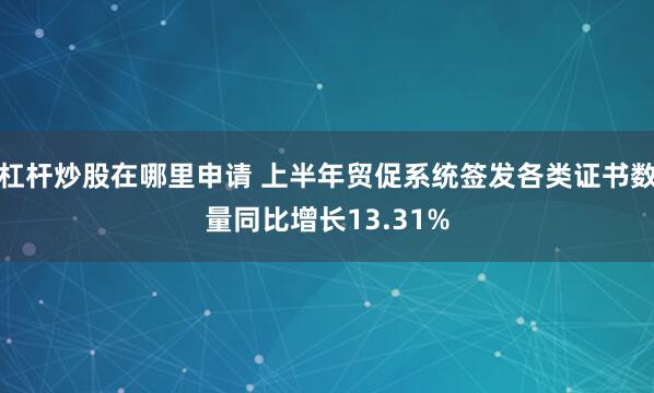 杠杆炒股在哪里申请 上半年贸促系统签发各类证书数量同比增长13.31%
