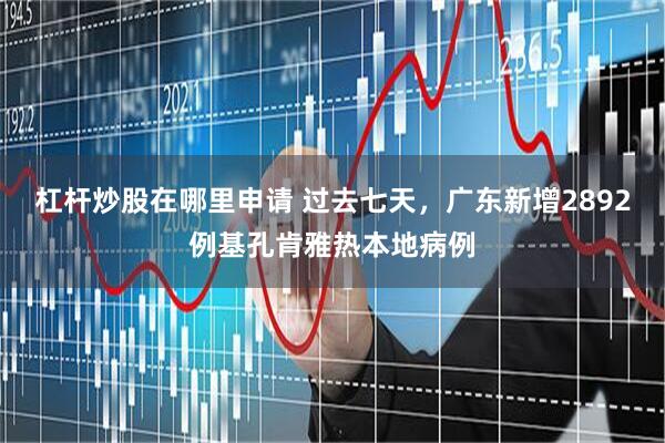 杠杆炒股在哪里申请 过去七天，广东新增2892例基孔肯雅热本地病例