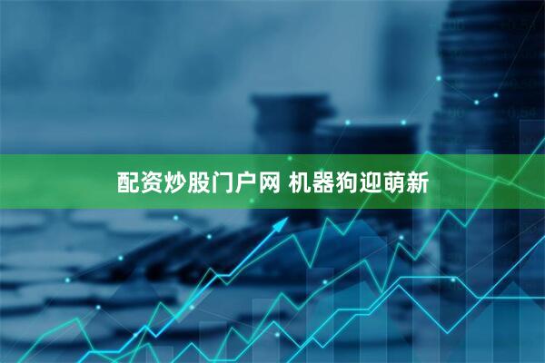配资炒股门户网 机器狗迎萌新