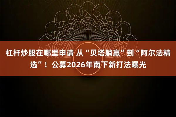 杠杆炒股在哪里申请 从“贝塔躺赢”到“阿尔法精选”！公募2026年南下新打法曝光