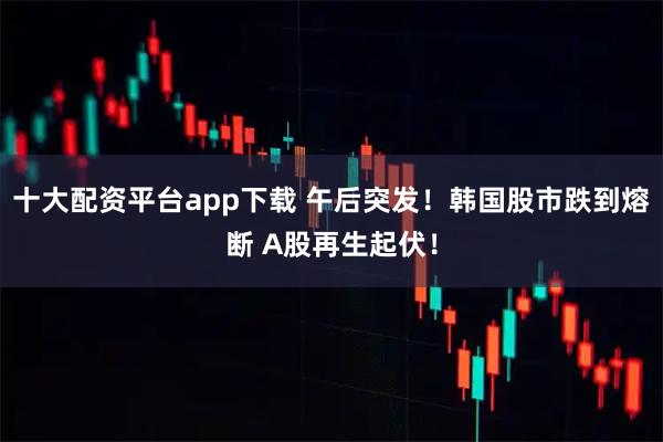 十大配资平台app下载 午后突发！韩国股市跌到熔断 A股再生起伏！
