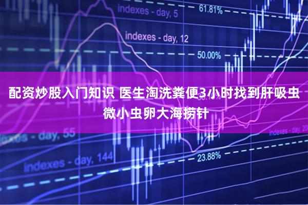 配资炒股入门知识 医生淘洗粪便3小时找到肝吸虫 微小虫卵大海捞针